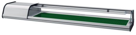 asui204