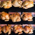 chicken_example_0706