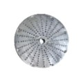 disk-dlja-ovocherizki-rauder-fm-terka-dlja-parmezanu-1
