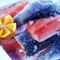 fisch3