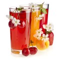 fruchtsa_fte_7