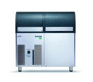 l-dogenerator-scotsman-asm-226-as-1