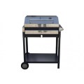 mangal-beneo-standart-grill-1